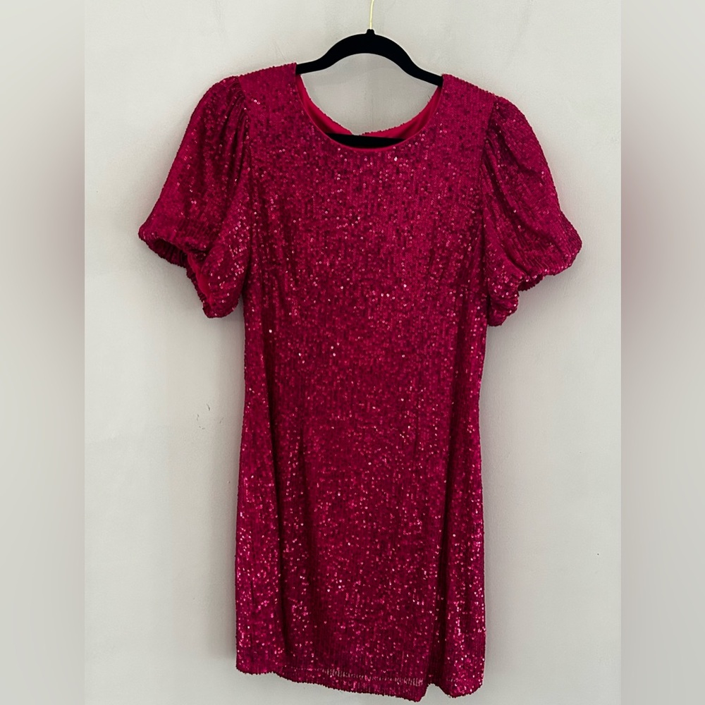 Ellen Weaver Elegant Pink Sequin Mini Dress